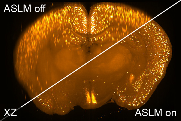 Axially scanned light-sheet microscopy